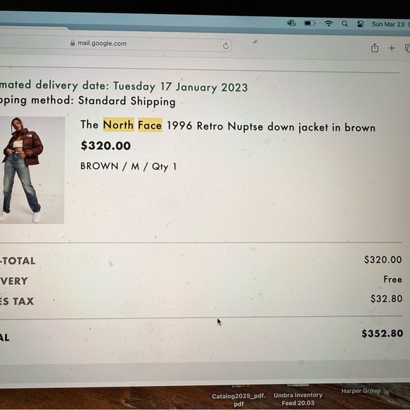 The North Face 1996 Retro Nuptse Down Jacket in Brown - Picture 3 of 3